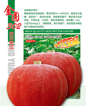 金圓302