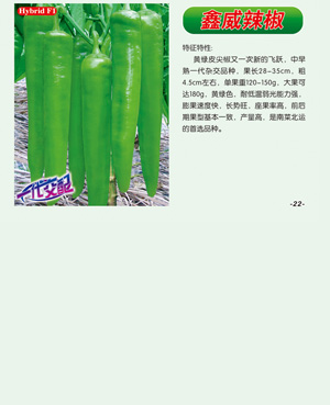 鑫威辣椒