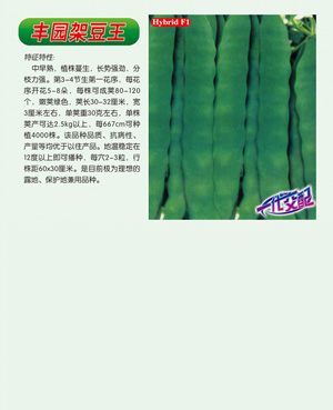 豐園架豆王