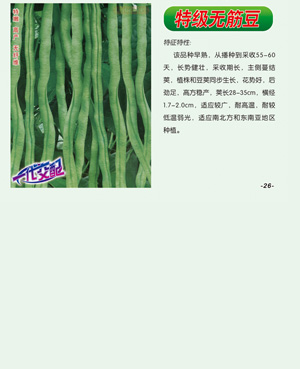特級無筋豆