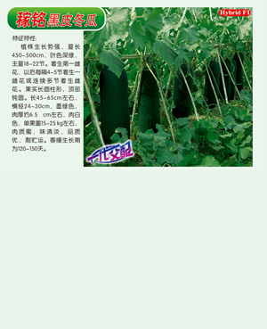 稼銘【黑皮冬瓜】