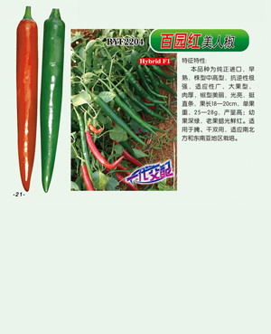 百園紅【美人椒】