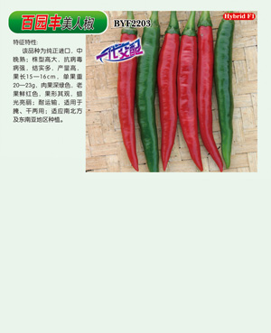 百園豐【美人椒】