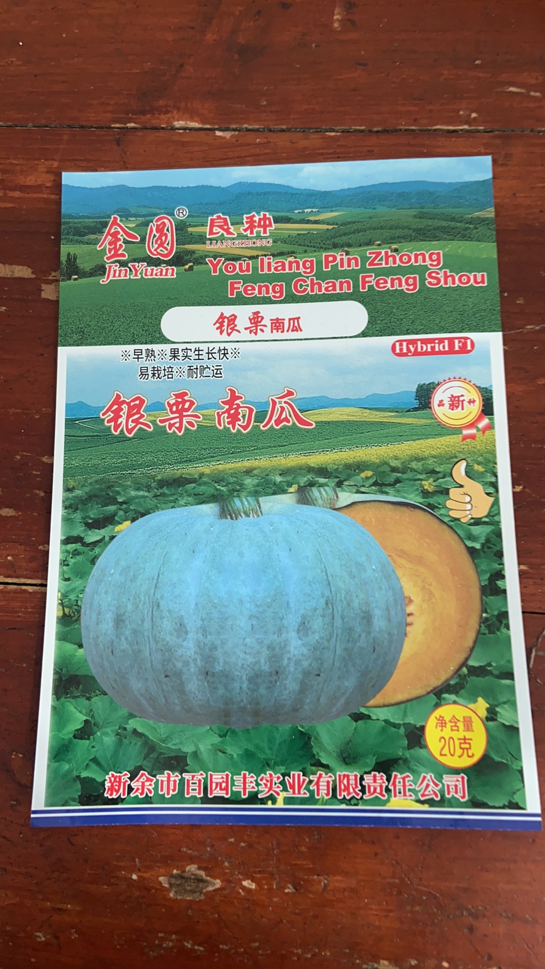 銀栗南瓜